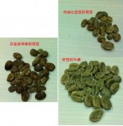 What are Mantenin coffee beans? What is the difference between coffee beans and ordinary coffee beans Manning's defect rate