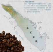 Introduction to the unique Flavor and Origin of Sumatra Manning Coffee