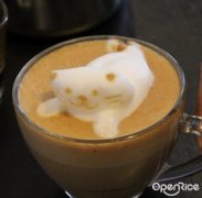 3D coffee flower workshop: milk foam requirements and foam skills for making 3D coffee flower