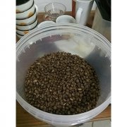 Vessie Honey West Arsi Ethiopia washed Sidamo Coffee beans Vessie Honey details