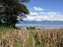 Guatemala Volcano Coffee Region Lake Atitlán Lake Atitlán