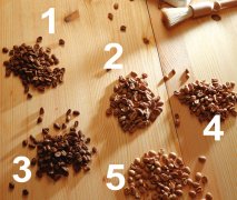 Brewing espresso at home: how to mix espresso beans from coffee beans to coffee machines