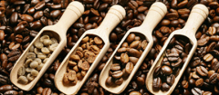 How do you mix espresso beans? The characteristic Story of Yunnan small Coffee beans