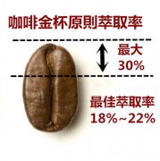 Coffee extraction Formula and Gold Cup extraction Theory | discuss the relationship between extraction rate and coffee powder thickness