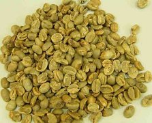 Uganda coffee taste Uganda AA- Bugison (Bugisu) Arabica washed coffee beans