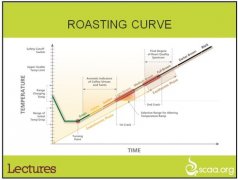 Interesting baking curve (1) the problem of bean temperature and temperature recovery point