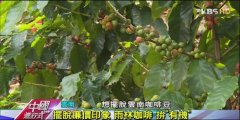 [Yunnan Coffee, China] 1 kg 13000! Probe into Yunnan 