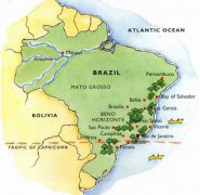 Coffee appreciation Handbook Coffee Origin: Brazil Brazil Brazilian coffee beans