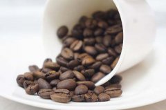 Mantenin Coffee Bean Price the best choice for heavy-flavored coffee-golden mantenin coffee beans