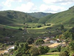 Introduction to the Lion King of the most amazing quality micro-batch washed Sidamo Coffee in Guji production area in 2018