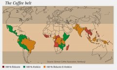 The difference between Daquan single Coffee and Italian Coffee in Global Coffee producing area