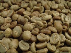 North Sumatra Blue Lake Blue BataK Coffee Flavor description of Sumatran Coffee