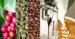 [2018 latest version] how to make coffee beans the best brand recommendation for coffee beans