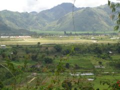 How Golden Manning Coffee is made-visit [Lintong] Lindong, Sumatra