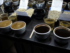 Cupping coffee cup test steps explain coffee cup test when to break powder?