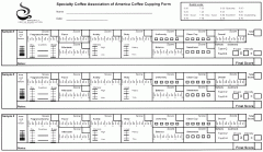 Coffee cup test written test SCAA cup scale Cupping Form how to use?