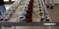 Coffee cup test thinking | does the size of coffee beans affect the coffee cup test score?