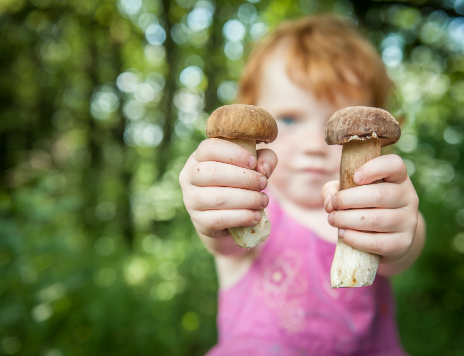 Is mushroom coffee an ingenious way to reduce stress? Coffee + mushroom is more 