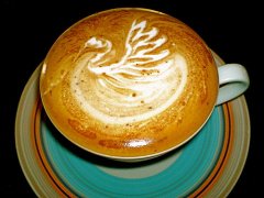 Coffee flower art swan illustration coffee flower simple cygnet skills sharing