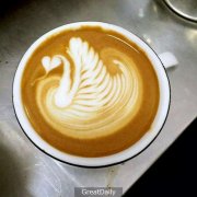 Do you like coffee flowers? what do you need to pay attention to in the design of coffee swans?