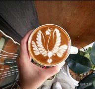 Coffee Swan Video tutorial Collection Coffee Swan and double Swan graphic skills