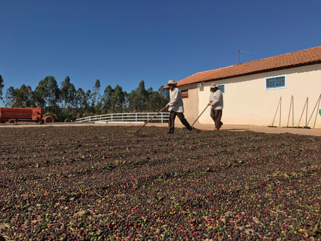 Brazil, the representative country of coffee farm industrialization-- Wang ce's trip to coffee producing areas