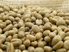 The taste difference between Kenyan coffee beans and round beans is there any difference in flavor and taste between round beans and flat beans?