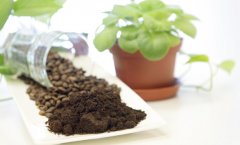 Can coffee grounds remove formaldehyde? coffee grounds remove odors, dehumidification and deworming coffee grounds at home