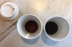 Starbucks VIA Instant Ground Coffee vs. Instant Black Coffee Who Drinks Better?