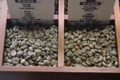 What is the meaning of standard coffee bean grade G1 and coffee grade shb