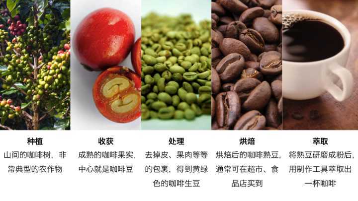 Coffee beginners must see: types and characteristics of coffee-how is coffee classified?