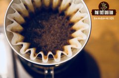 How to flush the Panamanian street flower butterfly before the street butterfly coffee commonly used filter cup brewing scheme