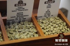 Vietnam Coffee Bean planting situation, Flavor and Taste performance introduce how to choose and how to buy Vietnamese coffee beans?