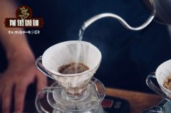 Beginner's manual coffee course: what is the basic operation procedure of hand brewing coffee?