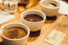 SCAA coffee cup test standard system process and scoring items