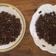 How big is the gap between ground coffee powder and freshly ground coffee, and how can it taste better?