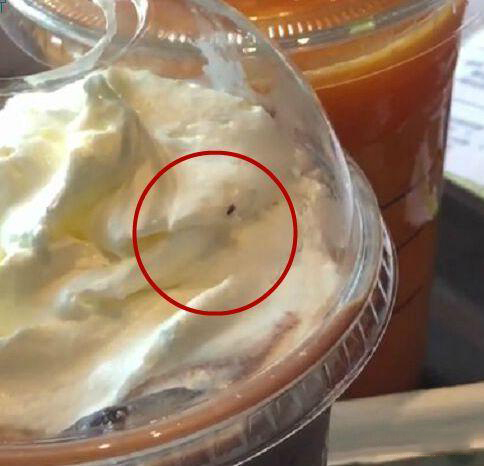 Starbucks selected Nanchang Causeway Bay store to discover live cockroaches! The clerk snatched it without saying a word.