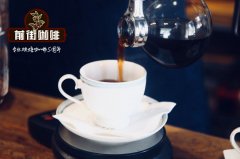 What brand of siphon pot is good to use? Beginner's experience on how to choose and buy siphon pot