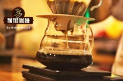 The meaning of the Golden Cup guidelines of scaa Standard hand-brewed Coffee course how much hand-brewed coffee per person