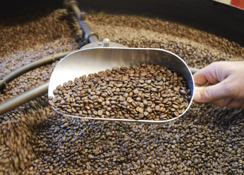 The secret of the coffee bean season-what do you want to raise coffee beans? How do you raise it? For how long?