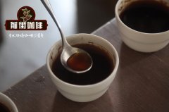 The relationship between Yunnan small Coffee and Katim Coffee beans Why does Catimor Katim's hand flush taste bad?