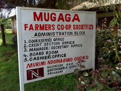 Flavor characteristics of Kenya Sika Coffee production area introduction of Mugaga Mugaga Honey processing Plant