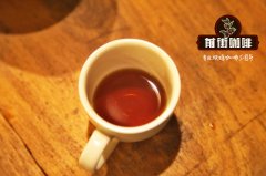 Introduction to the story of Yejia Coffee Gedeo Tore Station Tori processing Plant in Gaidio area