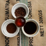 Zambian Coffee Flavor characteristics of Thunderbolt Manor on Lupili Estate Road in Zambia and the District of Kenya