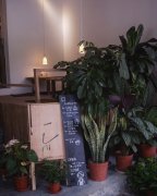 Top 10 specialty cafes in Chengdu [1] Chengdu Art Cafe Recommended