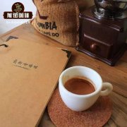 Characteristics of Colombian Vera Ivanova Colombian Coffee