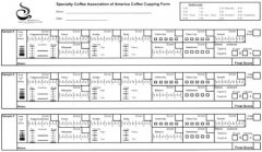 2018 Coffee Flavor Wheel HD picture SCA cup meter what is the scoring standard of HD SCA cup?