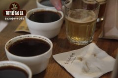 Historical Flavor characteristics of Metagalpa Coffee in Metagaba, four Coffee producing areas in Nicaragua