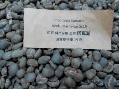 Azitawa Lake Sumatra Emerald Manning Coffee introduction? The characteristics of emerald Manning?