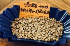 How does the taste change after coffee bean honey treatment? What kind of coffee is coffee bean honey processing suitable for brewing?